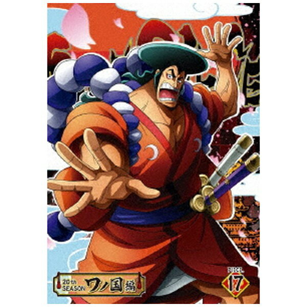 GCxbNXEsN`[Ybavex pictures ONE PIECE s[X 20THV[Y m pieceD17yDVDz yzsz