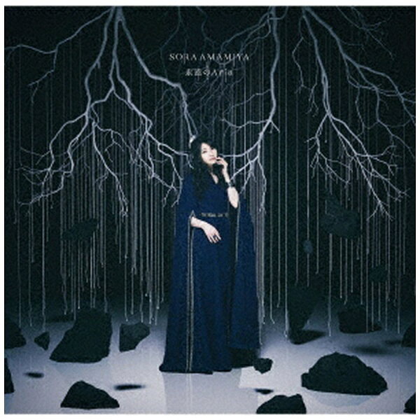 ソニーミュージックマーケティング｜Sony Music Marketing 雨宮天/ 永遠のAria 初回生産限定盤【CD】 【代金引換配送不可】