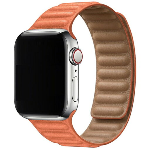アイキューラボ|iQ Labo AppleWatch 40mm/38mm用 マグネットホールドバンド オレンジ IQAWLMG40OR アイキューラボ|iQ Labo AppleWatch 40mm/38mm用 マグネットホールドバンド オレンジ IQAWLMG40OR