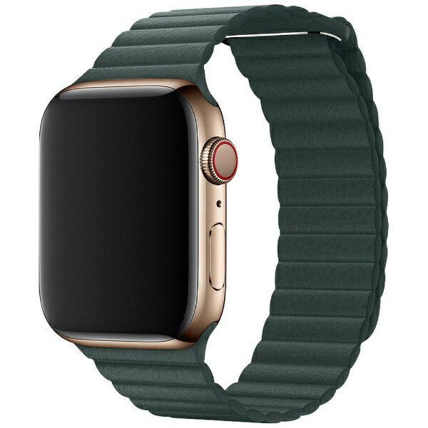 アイキューラボ｜iQ Labo AppleWatch 40mm/38mm用 マグネットホールドバンド（通し穴あり）グリーン IQAWLMGH40GR