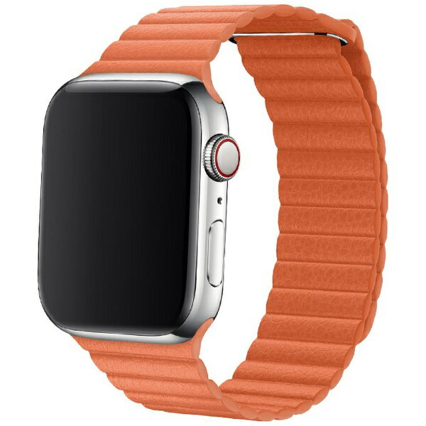 アイキューラボ｜iQ Labo AppleWatch 40mm/38mm用 マグネットホールドバンド（通し穴あり）オレンジ IQAWLMGH40OR