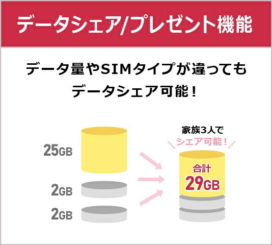 楽天ビック(ビックカメラ×楽天)のIIJ｜インターネットイニシアティブ 【無料Wi-Fi付】BIC SIM ギガプランパッケージ（音声/SMS/データ/eSIM共通）｜アングル3