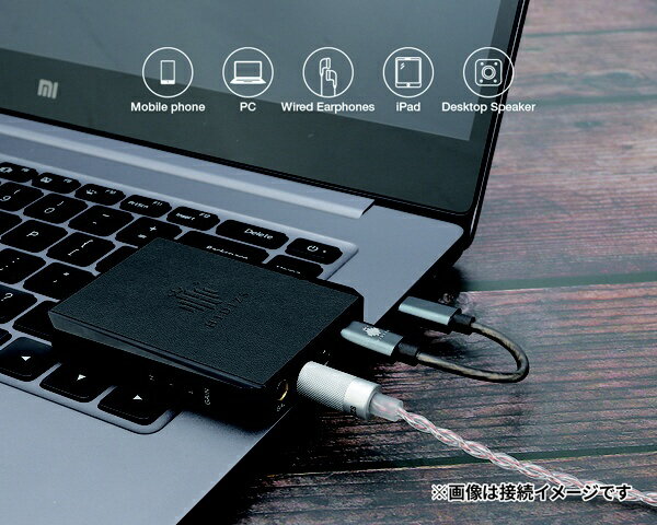 HIDIZS�åҥǥ��� �ݡ����֥�إåɥۥ󥢥�� �����ѥ󥴡���� DH80SChampagnegold [DAC��ǽ�б�]��rb_audio_cpn��