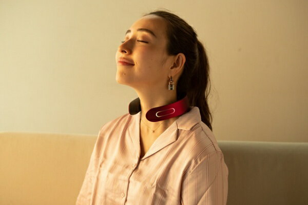 ���ϥץ饹��NISSOPLUS NIPLUX NECK RELAX �˥åץ�å��� �ͥå����å���(�����ǥ��ʥ��å�) NP-NR20R