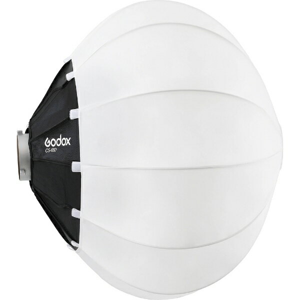 【エントリーで最大2万ポイント当たる｜6/25まで】 GODOX｜ゴドックス GODOX CS-65...