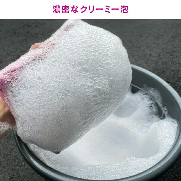 �ڥ륷���ɡ�Pellucid PCD100�����֥��ߥ��롡���������ס����ɥ��åץ����ס������女���ƥ��󥰥��������ס�ǻ�̥����ס������̡�900ml PCD-100