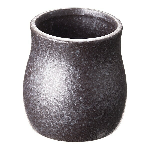 遠藤商事|Endo Shoji 鉄黒 楊枝入 T03-306 <RMJK701>