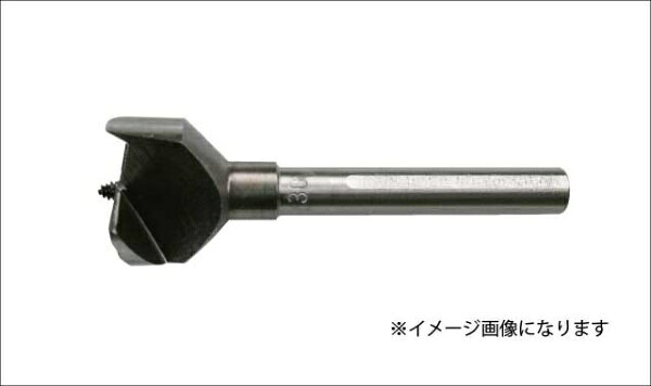 スターエム｜STAR-M #13A-250 丁番錐A（先ネジ） 25