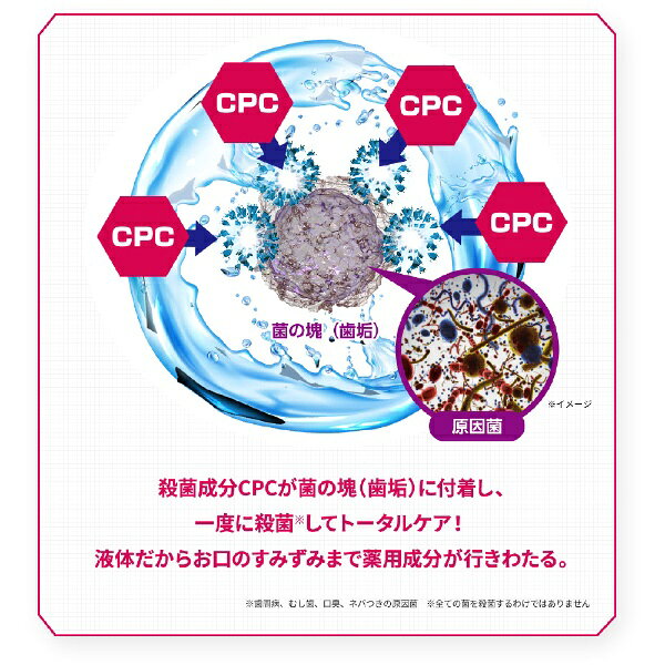 ����������Kobayashi �������� �⡼�˥󥰥����å��� 450ml