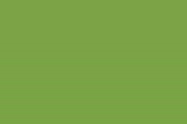 VIVID VAN｜ビビッドヴアン GFW-22 グラフィティー ウォール&アザーズ 40ml
