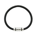 コラントッテ|Colantotte コラントッテ ループ クレスト(プレミアムシルバー/Mサイズ) ABAEF04M