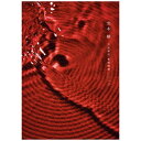 RAINBOW☆ENDLI9 堂本剛/ 平安神宮 奉納演奏 二○二○ 通常盤【DVD】 【代金引換配送不可】