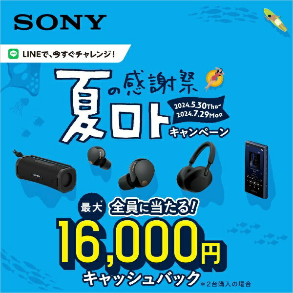 ソニー｜SONY フルワイヤレスイヤホン アイスグリーン WF-C500 GZ [マイク対応 /ワイヤレス(左右分離) /Bluetooth]