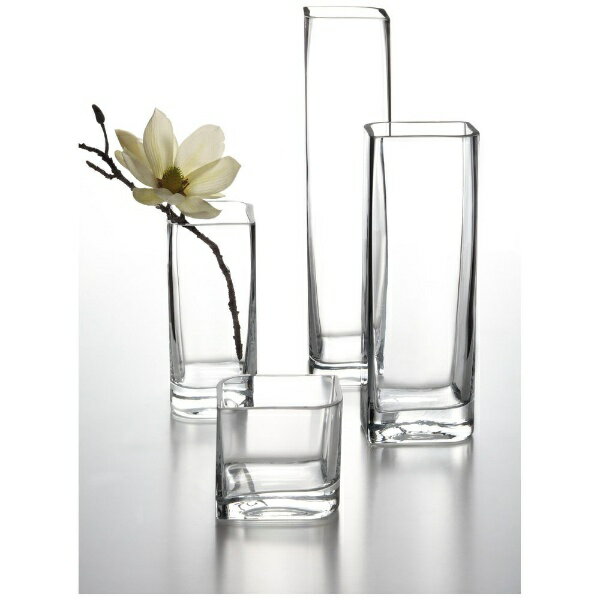 Leonardo�å쥪�ʥ�� �١��� H30cm Lucca 014327�ڽ�ʬ�ʤΰ١��������ɤˤ�����ʡ����Բġ�