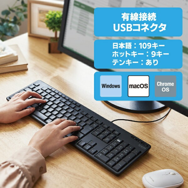 ELECOM|エレコム キーボード 抗菌(Ch...の紹介画像2