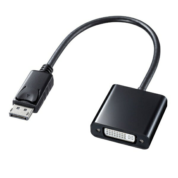 掠ץ饤SANWA SUPPLY Ѵץ [DisplayPort ᥹ DVI] AD-DPDV04 [DVIDisplayPort]