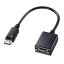 掠ץ饤SANWA SUPPLY Ѵץ [DisplayPort ᥹ VGA] AD-DPV04 [DisplayPortVGA]