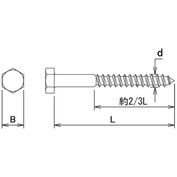 ダイドーハント｜daidohant ダイドーハントステンレスコーチスクリュー8x40（13頭）（1本） 10102873