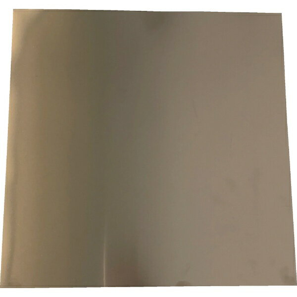 �ȥ饹���滳��TRUSCO NAKAYAMA TRUSCO����ץ졼�ȥ��ƥ�쥹0��3��50��50mm SISUS0.3-50-504500