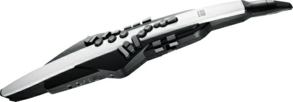 Roland｜ローランド 電子管楽器　Aerophone（エアロフォン） AE-20