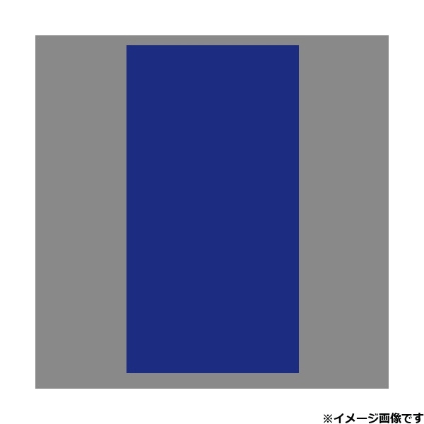 JET INOUE｜ジェット・イノウエ アクリルバン 2550 x 3 x 500 ブルー 509802
