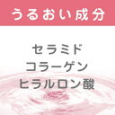 マックス｜MAX 植物生まれのやさしい石けん 2個入（80g×2）