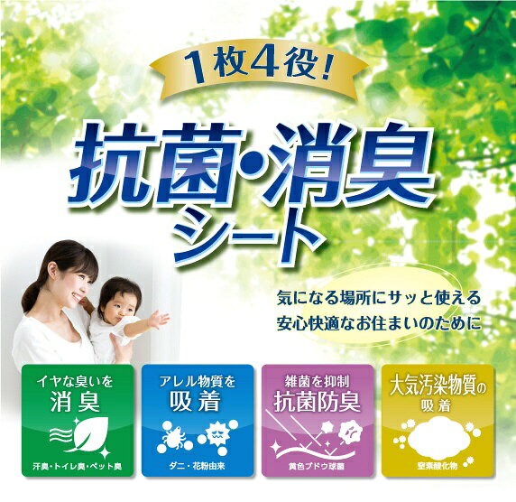 �����ҥ���IKEHIKO ���ݡ��ý������ץ롼�ե����� [25��50 /�ޤ����� /����¾]