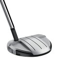 e[[ChStbTaylor Made Golf p^[ XpC_[ GT [obN X[Xg Spider GT ROLLBACK SILVER Small Slant Putter 34C`y摜̓C[WɂȂ܂zyԕisz