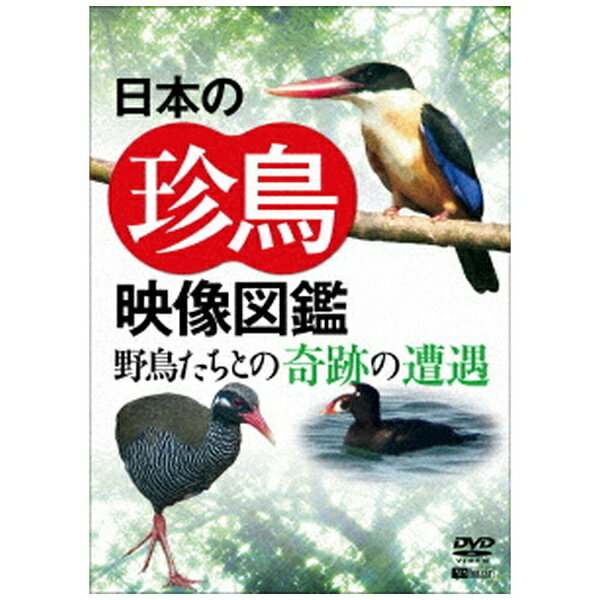 ハピネット｜Happinet シンフォレストDVD日本の珍鳥映像図鑑野鳥たちとの奇跡の遭遇【DVD】 【代金引換配送不可】