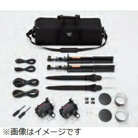 TWINKLE RSシリーズのアンブレラ2灯セットです。