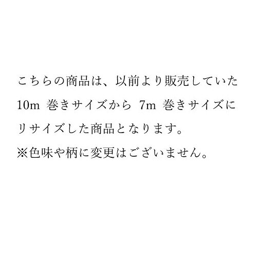 KAMOI｜カモ井加工紙 マスキングテープ　mt 1P 100mm 銀 MT10W206