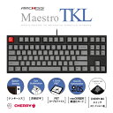 ARCHISS｜アーキス キーボード Maestro TKL(スピードシルバー軸・英語配列)(Mac/Windows11対応) AS-KBM87/LSGB [有線 /USB]