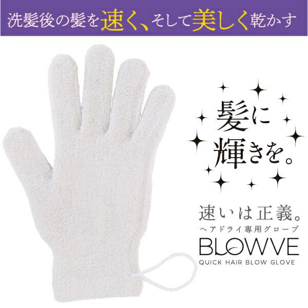 砂山靴下｜Sunayama Socks ヘアドライグローブ BLOWVE（ブローブ） 6231CA-02