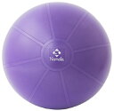 【エントリーで最大10万ポイント還元|5/6迄】 ナニワ|naniwa バランスボール55cm(約直径55cm/パープル) NA6418