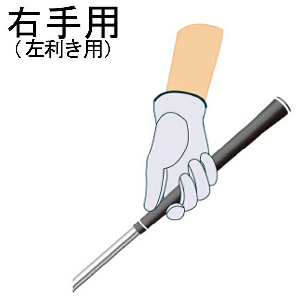 ハーツェル｜HIRZL 【メンズ 右手着用(左利き用)】ゴルフグローブ SOFFFT PURE モ...