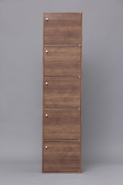 IRIS OHYAMA�å����ꥹ������� ���顼�ܥå��� 5�� ���դ������סʥ֥饦��/����41.5�߱���29�߹⤵168cm��