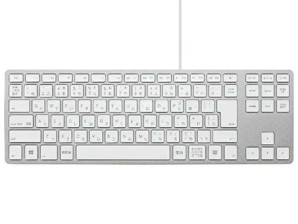 MATIAS｜マティアス キーボード USB-Aハブ搭載 Wired Aluminum Tenkeyless keyboard for PC(Windows11対応) シルバー FK308PCS-JP [有線 /USB]