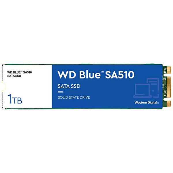 WESTERN DIGITAL｜ウェスタン デジタル WDS100T3B0B 内蔵SSD SATA6G接続 WD Blue SA510 1TB /M.2