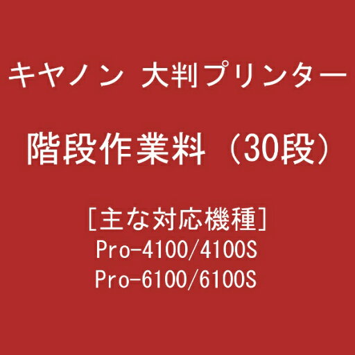 CANON|キヤノン 階段作業料B(30段) 721ZZ284 CANON|キヤノン 階段作業料B(30段) 721ZZ284
