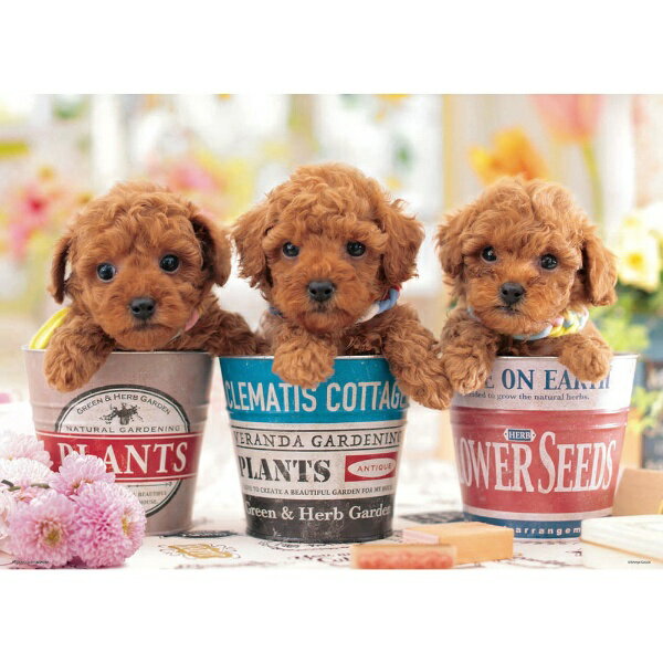 カワイイペットたちのジグソーパズル【仕様】・ピース数： 600ピース・完成時サイズ： 530×380mm・対応パネルNo．： 5-B