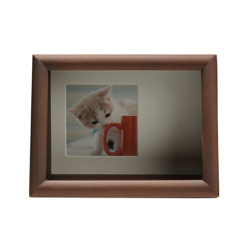 ケンコー・トキナー｜KenkoTokina ディスプレイBOX 2L ブラウン