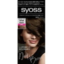 シュワルツコフヘンケル|Henkel Japan syoss(サイオス)ヘアカラー クリーム 6N ディープブラウン 1剤50g+2剤50g 6N ディープブラウン