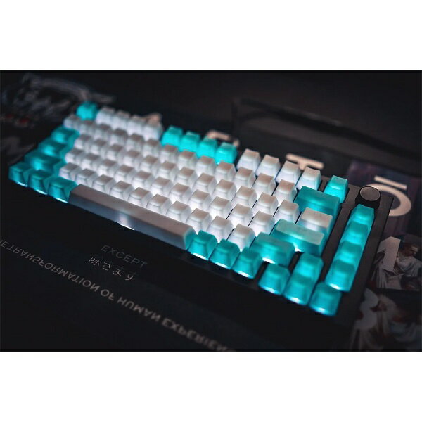 TAI-HAO�å����ϥ� �̥�������åס�US������ 149���� Translucent Cubic Profile ABS backlit keycap set NATA DE COCO �֥롼/�ۥ磻�� th-translucent-nata-de-coco-blue-white