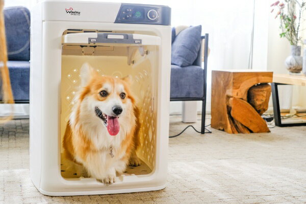 PePe �ڥåȥɥ饤�롼��-WOOINU- DR-300PRO-WH