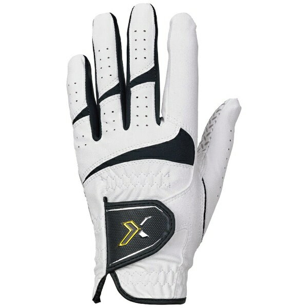 ダンロップ スリクソン｜DUNLOP SRIXON 【メンズ 左手着用(右利き用)】 ゴルフグローブ GGG-X018(22.0cm/ホワイト)【返品交換不可】