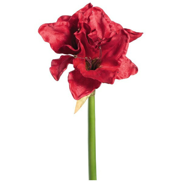 Leonardo｜レオナルド 造花”赤いアマリリス”12P 65cm Fiore 38563