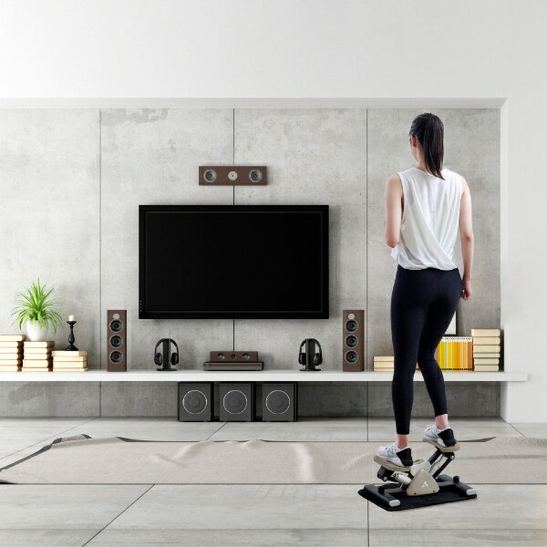 ���륤�󥳡�ALINCO �����ɥ��ƥåѡ� FA51�ڥ���󥻥롦�����Բġ�