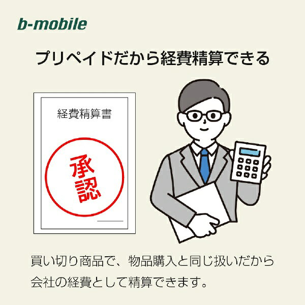 楽天ビック(ビックカメラ×楽天)の日本通信｜Japan Communications マルチカットSIM　b-mobile　10GB×12ヶ月SIMパッケージ（ドコモ回線） b-mobile BM-GTPL6C-12MC [マルチSIM /SMS非対応]｜アングル3