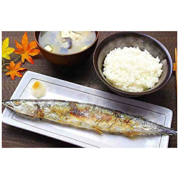 パール金属｜PEARL METAL ホットグリル 合わせ魚焼セラミック入 ガス火専用 HB-6035