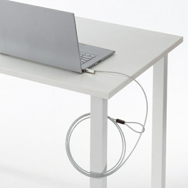 サンワサプライ｜SANWA SUPPLY セキュリティワイヤー スロット標準＆nano対応 [3x7mm、2.5x6mm] シリンダ錠 SL-91 2